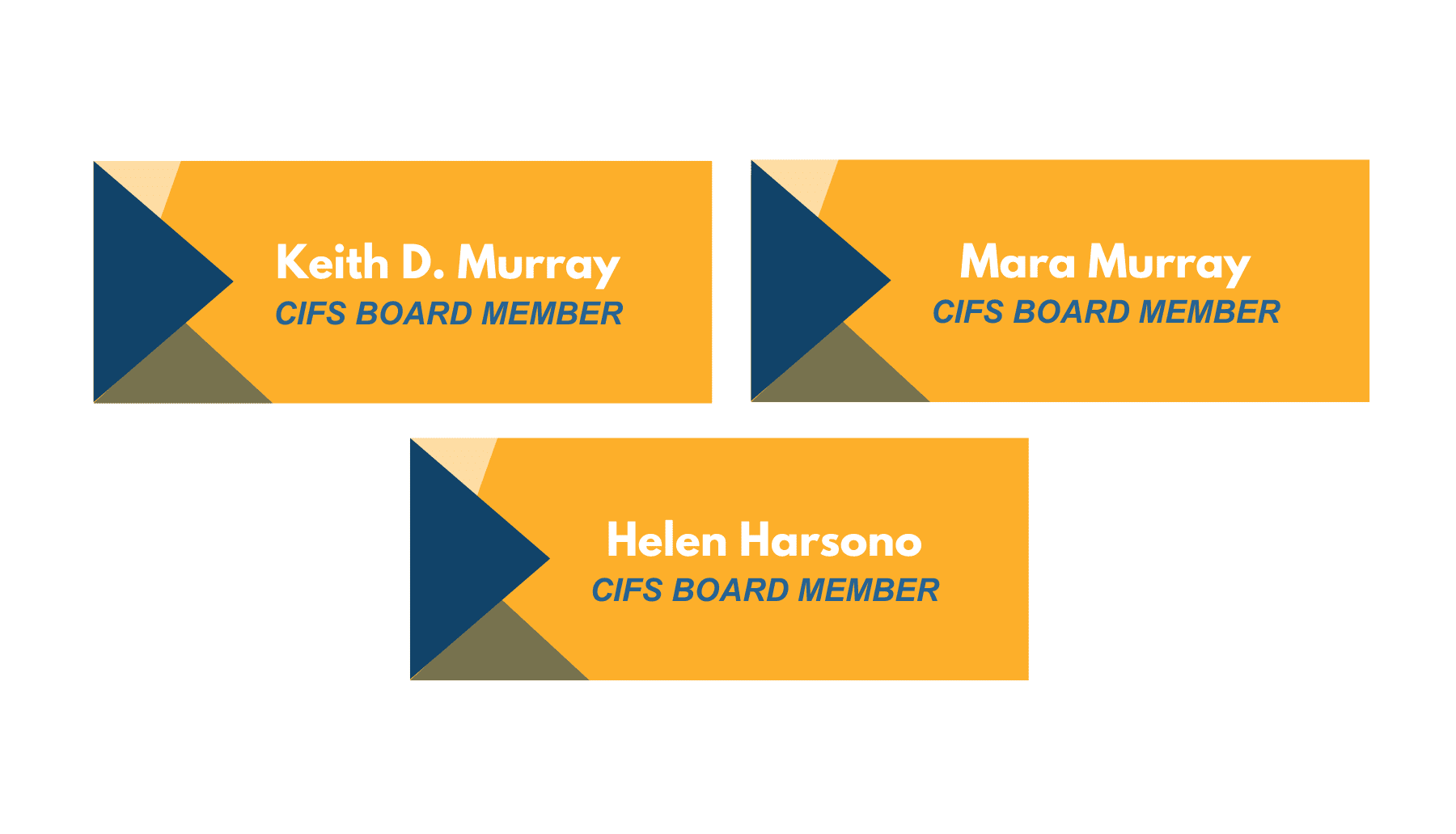 CIFS-Board